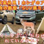 【ホンダ “ワン” 】ホンダが提案する“ワンダフル”な新型車両とは？ SUV風ミニバンと軽ハイトワゴンが愛犬家に支持される理由は？【JBNカーニュース 】