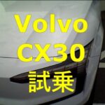 一酸化炭素中毒死の無い車モデル3オーナーの言いたい放題 CX30試乗したらリーフからの乗り換えに丁度いい！