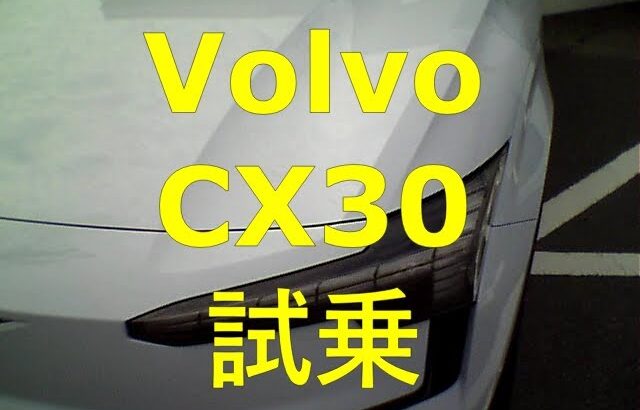 一酸化炭素中毒死の無い車モデル3オーナーの言いたい放題 CX30試乗したらリーフからの乗り換えに丁度いい！