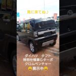 ダイハツ　タフト　特別仕様車　展示中