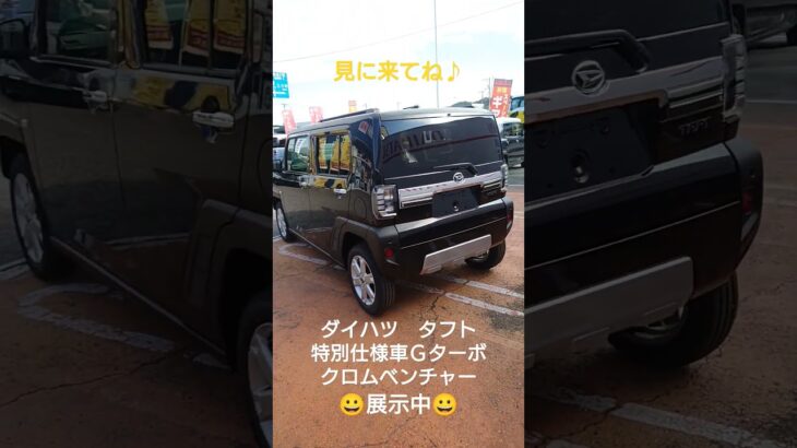 ダイハツ　タフト　特別仕様車　展示中