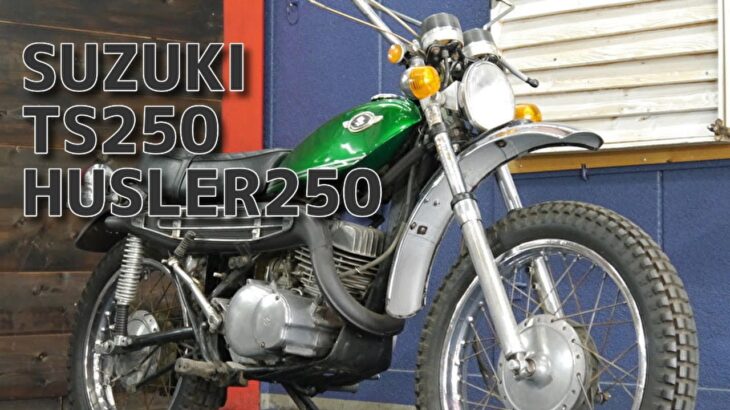 SUZUKI TS250 HUSLER250 ハスラー250 参考動画