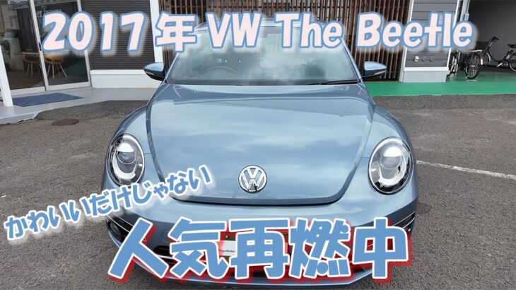 【フォルクスワーゲン】ザ・ビートル内外装紹介！元VWの営業マンがレビュー（試乗付き）