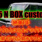 N BOX 納車後1年経過/気に入ってるところ＆イマイチなところ+次期モデルに期待するところ