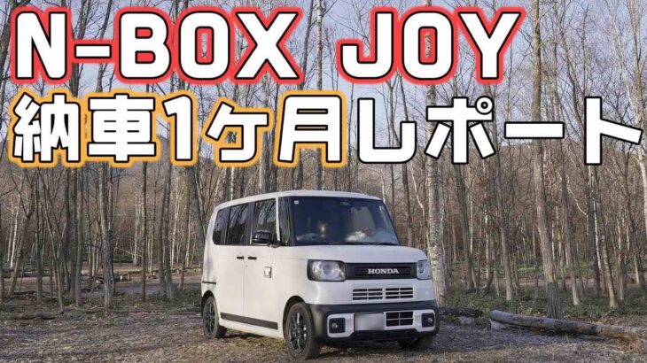 【N-BOXJOY】納車から1ヶ月！気に入ってるところと気になるところをチェック