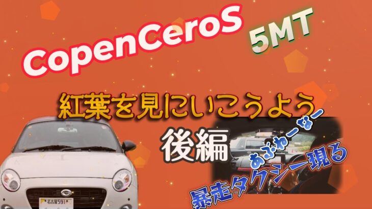 【COPEN】コペンセロS 5MT☆紅葉を見にいこうよう～後編☆モネの池と暴走タクシー