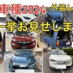 【人気車種2024】話題の車　外装レビュー　一挙お見せします　今年試乗した車の総集編  クリスマスソングを流してます