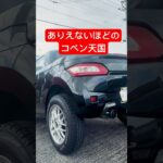 ハンパなくかっこいいカスタムコペン大集合！