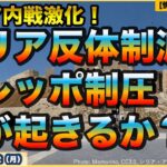 【シリア内戦激化】【次に何が起こるか？】【アサド政権反体制勢力の奇襲でアレッポ制圧】ロシア軍が空爆？ロシア、アメリカは？日本への影響は？国際情勢ウォッチ【情報ソムリエ・少佐】【2024/12/2月】