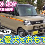 【N-BOX JOY】愛犬との楽しいカーライフの最適解！『ふらっとテラス』をフル活用で快適な空間づくり！愛犬用Honda純正アクセサリーも紹介します！