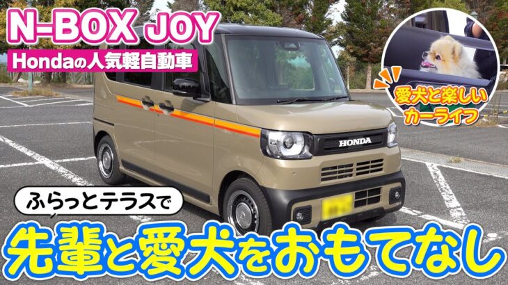 【N-BOX JOY】愛犬との楽しいカーライフの最適解！『ふらっとテラス』をフル活用で快適な空間づくり！愛犬用Honda純正アクセサリーも紹介します！