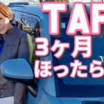 タフトの樹脂部分が白くなった。あの解決策は本当に効果あったのか！？