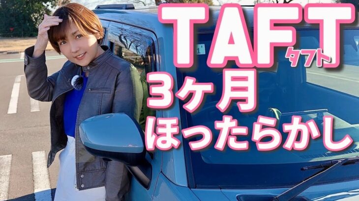 タフトの樹脂部分が白くなった。あの解決策は本当に効果あったのか！？