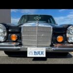 「Sクラス」の始祖メルセデス・ベンツ「280SEL」に試乗！ ドライバーズカーとしても優秀な古典的様式美の世界とは【旧車ソムリエ】