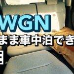 これ軽だよね…？【N -WGN】そのまま車中泊できるか【検証】予想以上の快適空間に驚愕‼︎