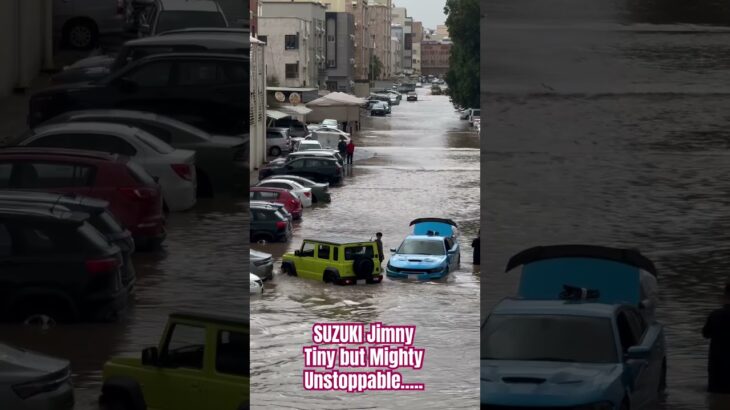 Suzuki Jimny | Conquering the Wet Wilderness |