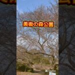 この時期に桜が咲いている　美術の森公園　#shorts