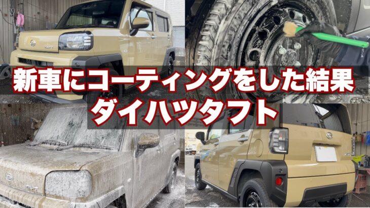 【新車購入者必見】ダイハツタフトにグラフェンコーティングをしてみた結果！#洗車 #コーティング