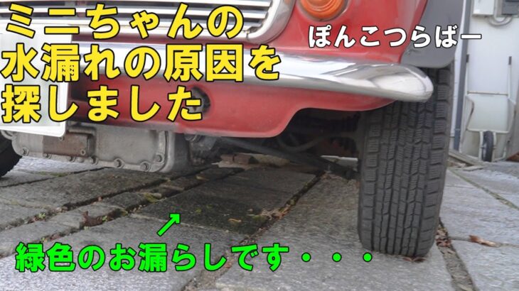 ローバーミニ　ミニちゃんの水漏れの原因探しと修理です。エンジン下あたりに緑色のシミを発見しました。冷却水（クーラント）が漏れているので原因探しをして、車検が近いので可能だったら修理したいのですが・・・