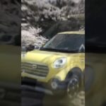 キャストVSタフトどっちが好き？#shorts#ダイハツ#キャスト#タフト