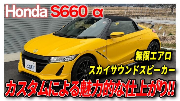 【S660】コンディション抜群！豊富なカスタムパーツを備えた1台！