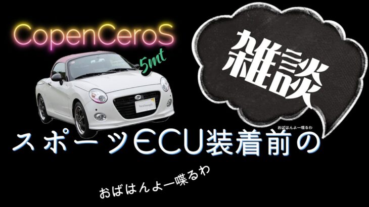 【COPEN】コペンセロS 5MT☆雑談☆車高調等将来の目標編