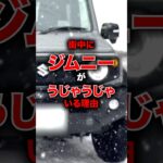 みんな知ってた？ジムニーが街中に多い理由！