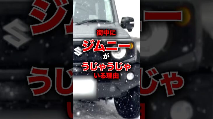 みんな知ってた？ジムニーが街中に多い理由！