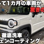 【新車1カ月】スズキ ハスラーにグラフェンコーティングを施工！その効果と仕上がりとは！#洗車 #コーティング