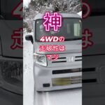 N VANのビスカスカップリング