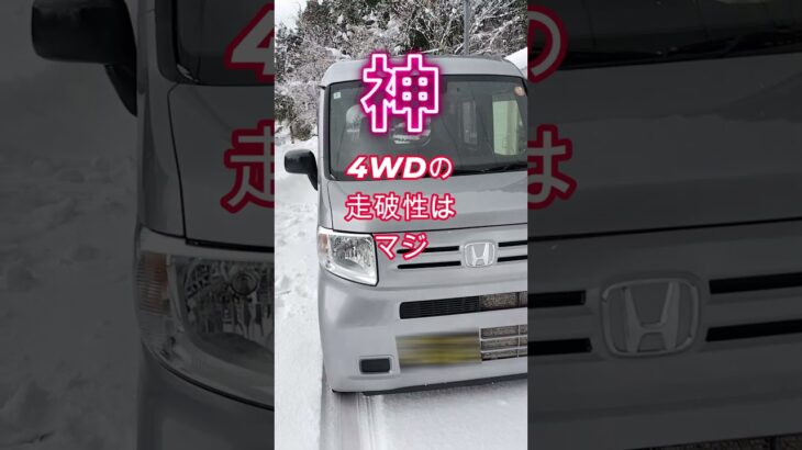 N VANのビスカスカップリング