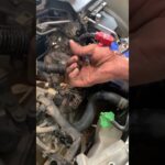 suzuki alto throttle bodi opning