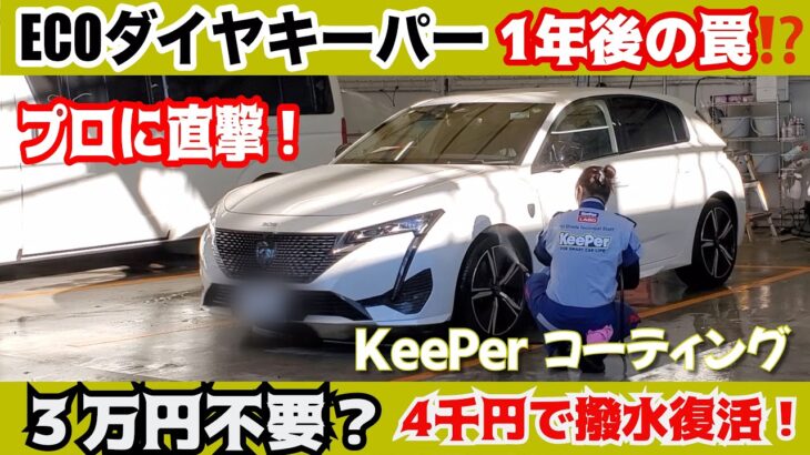 ECOダイヤキーパー1年後の罠⁉️プロに直撃！３万円不要❓4千円で撥水効果復活の裏技　初めての外車シリーズ第8弾　プジョー新型308PHEVの1年後のコーティングメンテナンス費用は？