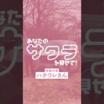 「決め手は見た目と子育てに優しい広さ！」日産サクラ実際どう？オーナーインタビュー！