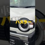 【新型ハスラー】が愛車ですが何か？　#タフワイルド ＃新型ハスラー ＃スズキ
