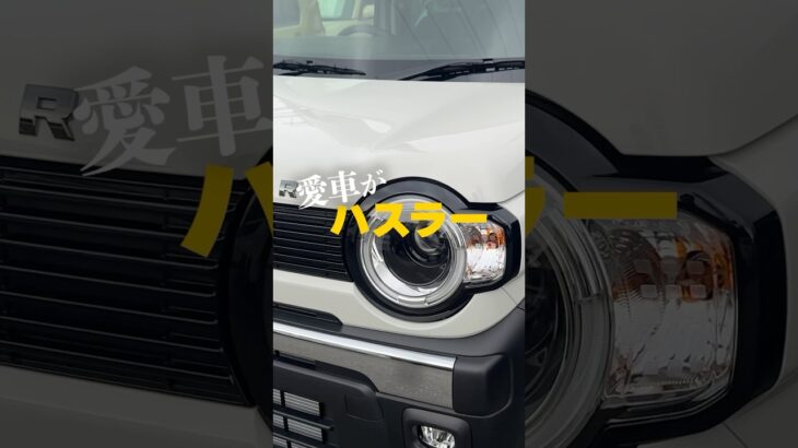 【新型ハスラー】が愛車ですが何か？　#タフワイルド ＃新型ハスラー ＃スズキ