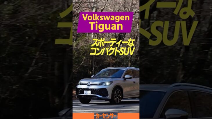 新型 VW ティグアン｜やっぱりちゃんと作ってるなぁ～！ これは飽きのこないモデルだわ