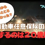 スポーツカーは２１歳まで待て！！《２５年から軽任意保険は実際どう変わったのか》