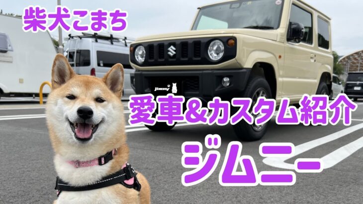 柴犬こまち　愛車＆カスタム紹介　SUZUKI ジムニー