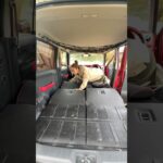 #車中泊#ハスラー#キャンプ#車中泊女子#車中泊仕様#バンライフ#フルフラット