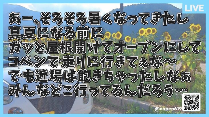 コペン乗りでサムネイルのようなことを思っている人いる？