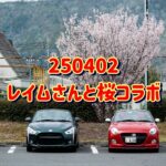 250402レイムさんと桜コラボ
