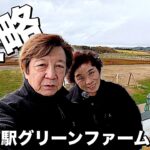 悪天候を吹き飛ばせ！”道の駅グリーンファーム館山” 完全攻略！ 第２定年からの夫婦ふたり旅！エブリイワゴンで巡る道の駅車中泊の魅力！