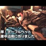 車中泊初心者 その９ 超簡単テーブルベット！二人車中泊用に作りました タントカスタム車中泊