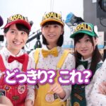 ペンギン村キャラバン／ももクロ／インビテーション編