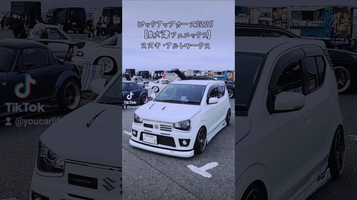 『CARTUNE』Pick Up Cars2025【泉大津フェニックス】ピックアップ紹介！SUZUKI・アルトワークス#shorts