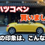 【購入したぞ】ダイハツ コペン L880Kの魅力を体感せよ