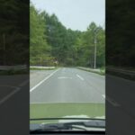 実録　モリブデンをエンジンに