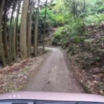 【酷道】4K ドライブ / 208 向日善峰線 （下り） 733分岐〜善峰寺駐車場