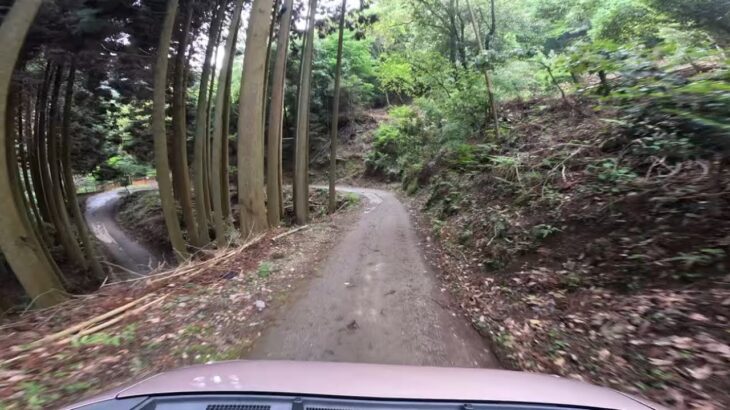 【酷道】4K ドライブ / 208 向日善峰線 （下り） 733分岐〜善峰寺駐車場